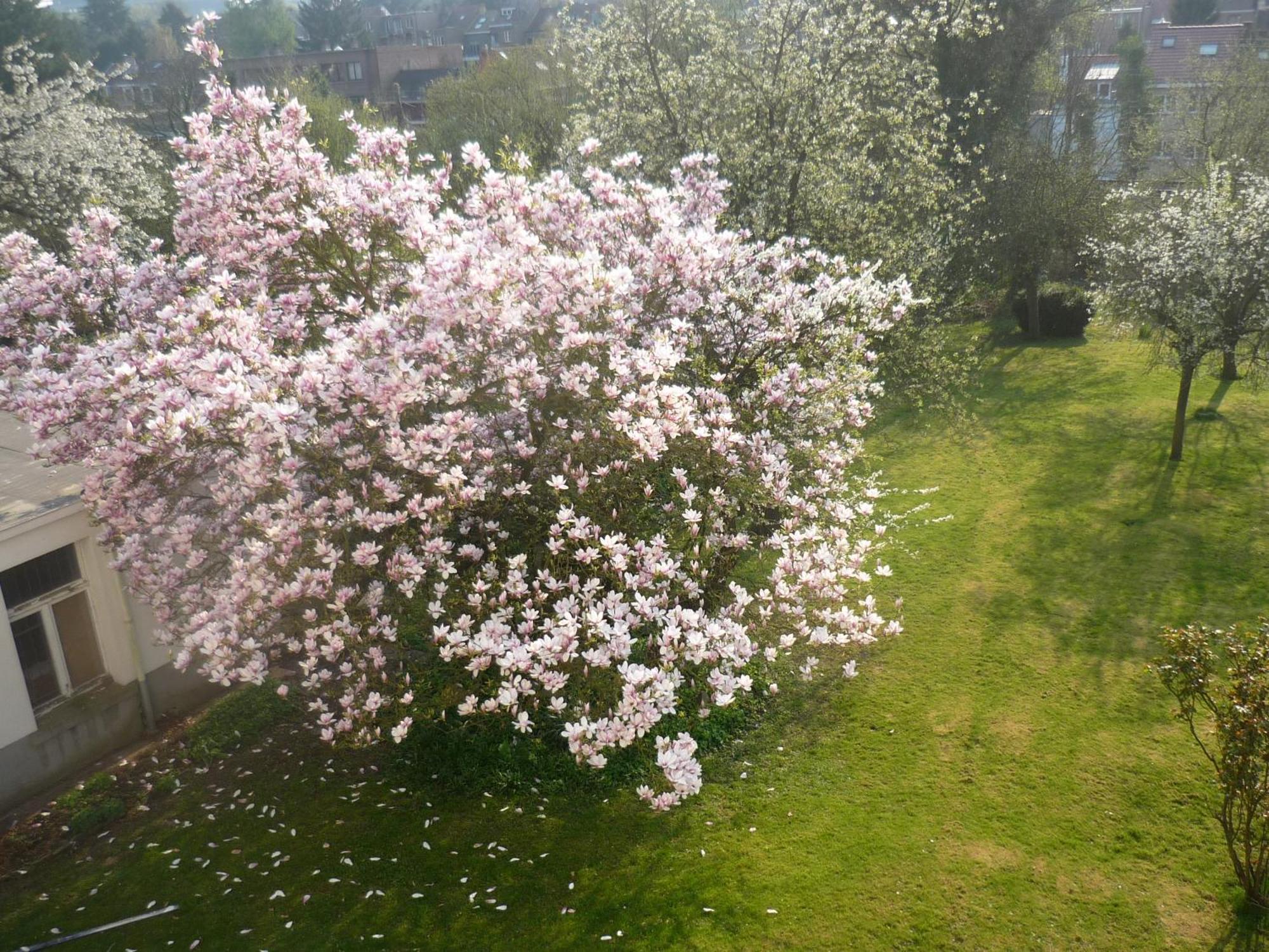 B&B Le Verger Auderghem Dış mekan fotoğraf